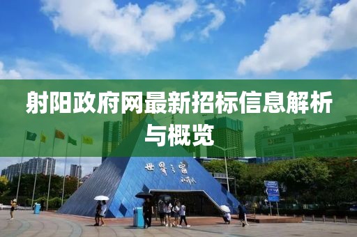 射陽(yáng)政府網(wǎng)最新招標(biāo)信息解析與概覽