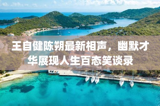 王自健陳朔最新相聲，幽默才華展現(xiàn)人生百態(tài)笑談錄