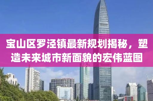 寶山區(qū)羅涇鎮(zhèn)最新規(guī)劃揭秘，塑造未來城市新面貌的宏偉藍(lán)圖