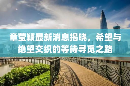 章瑩穎最新消息揭曉，希望與絕望交織的等待尋覓之路