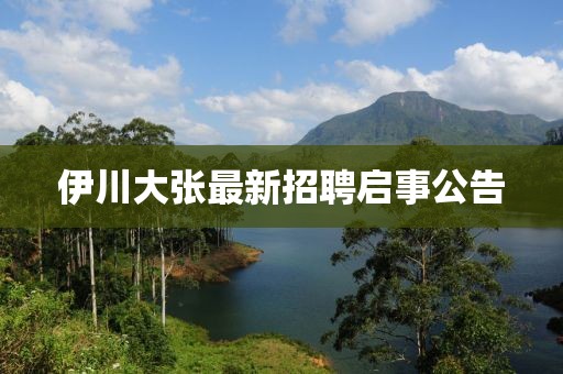 伊川大張最新招聘啟事公告