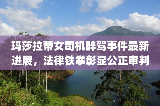 瑪莎拉蒂女司機醉駕事件最新進展，法律鐵拳彰顯公正審判