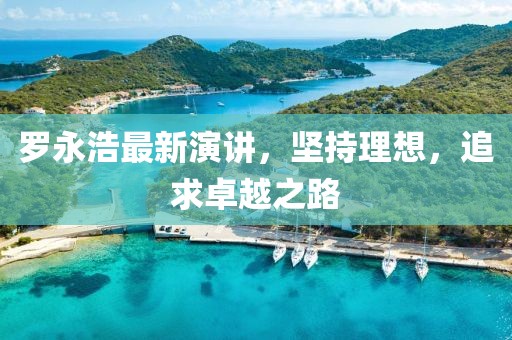 羅永浩最新演講，堅持理想，追求卓越之路