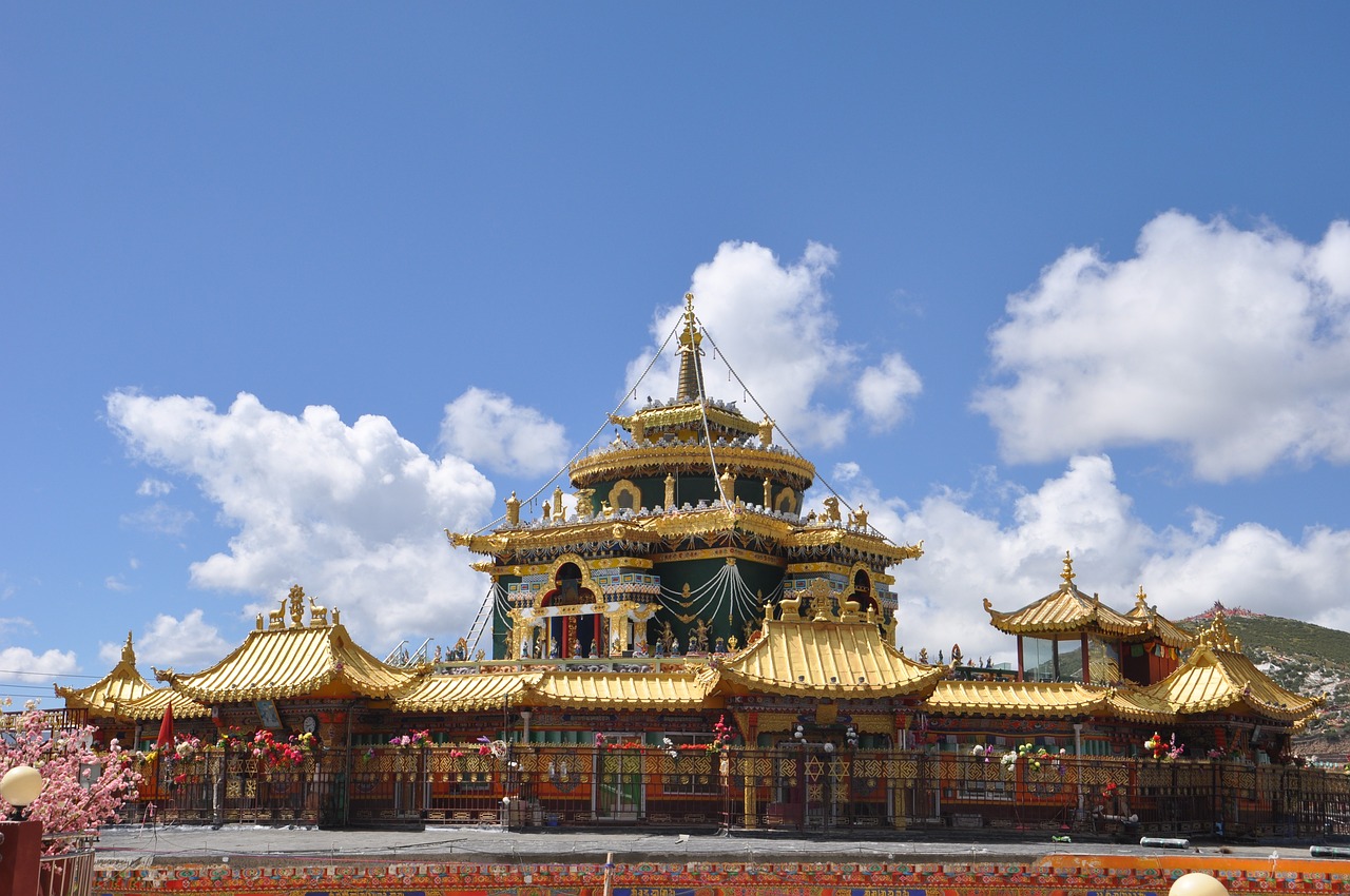 鄭開(kāi)碧桂園最新房?jī)r(jià)動(dòng)態(tài)及市場(chǎng)趨勢(shì)，購(gòu)房指南與實(shí)時(shí)更新房?jī)r(jià)信息