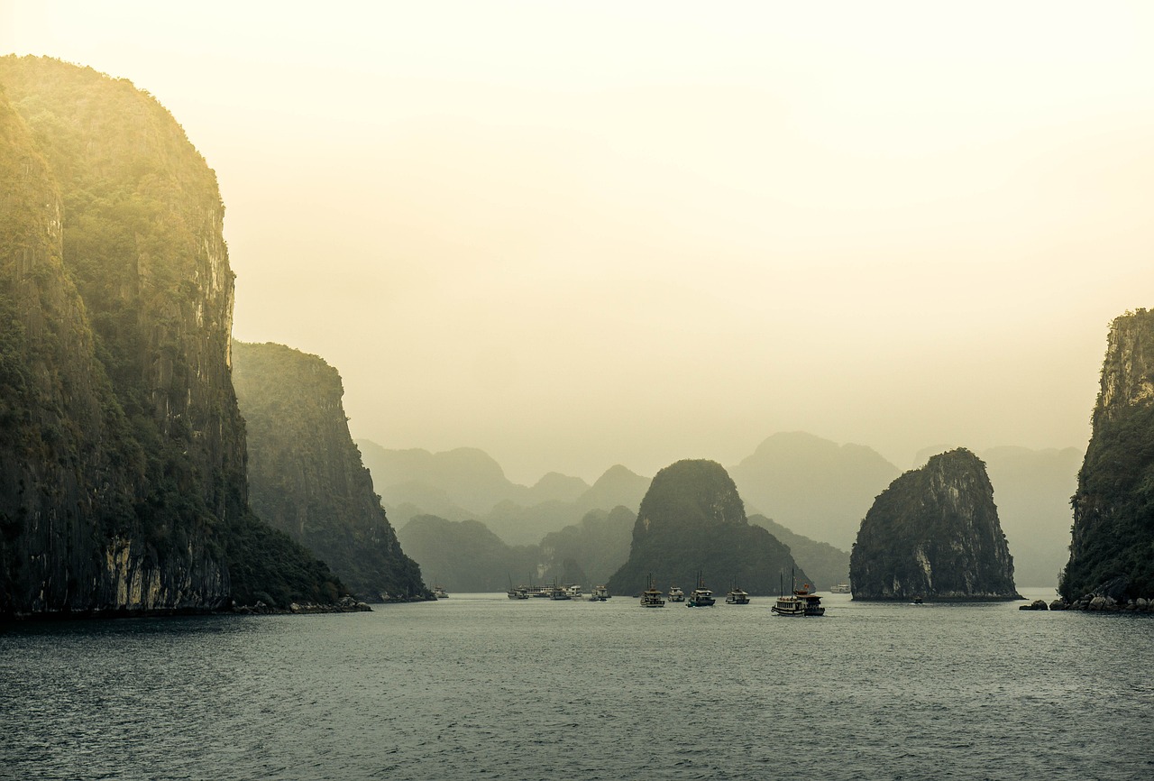 AVY最新動態(tài)，潮流前沿的創(chuàng)新引領(lǐng)