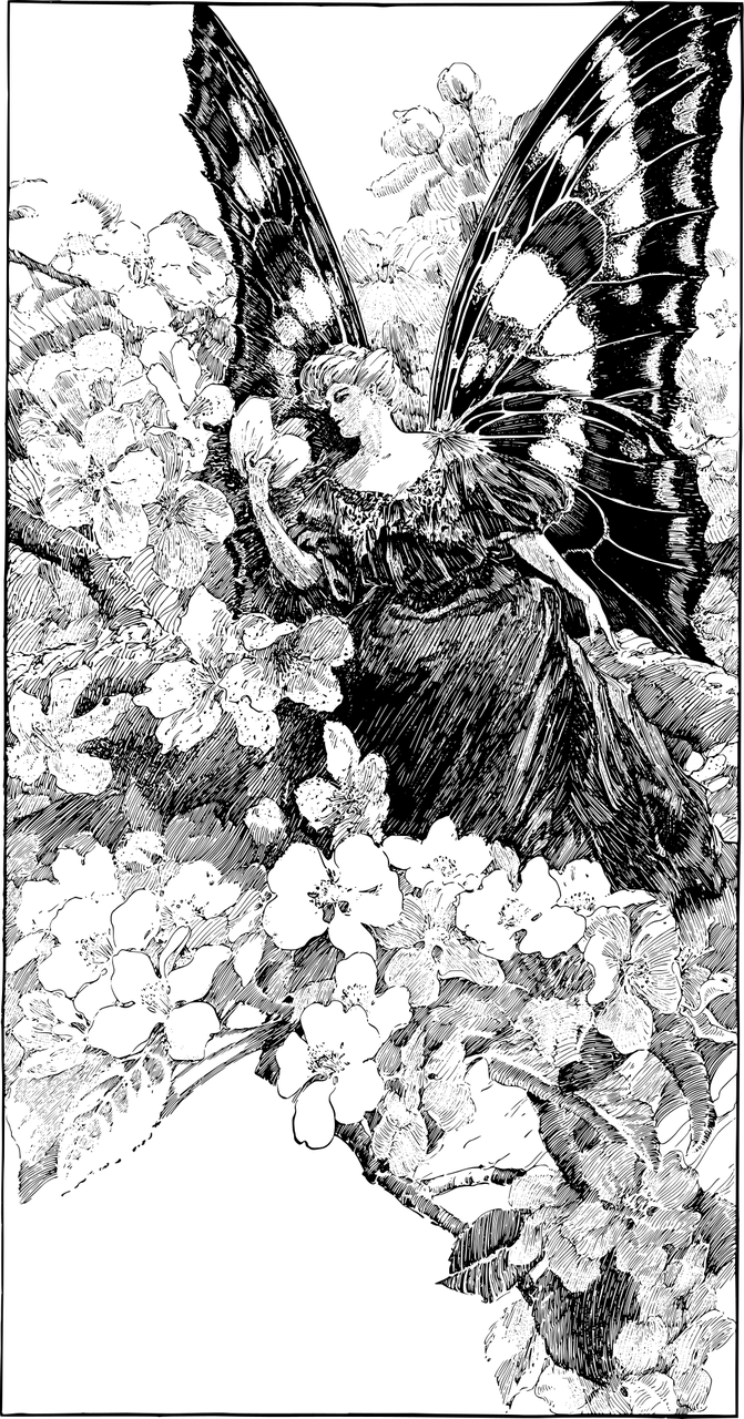 蝴蝶最新底板，科技與藝術(shù)的完美融合
