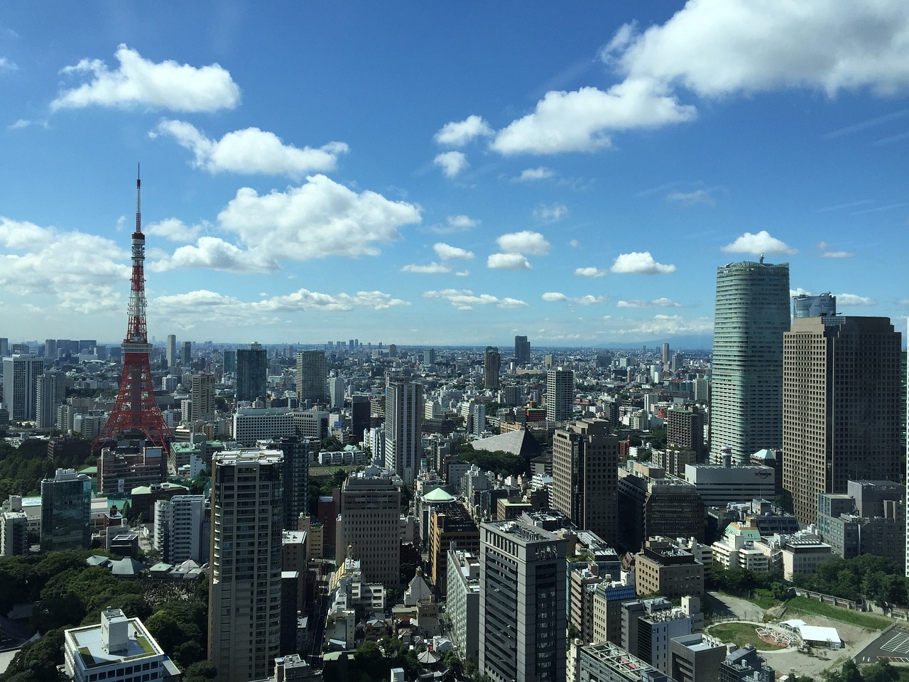 饒陽最新房價動態(tài)及市場走勢，購房指南與最新市場動態(tài)分析