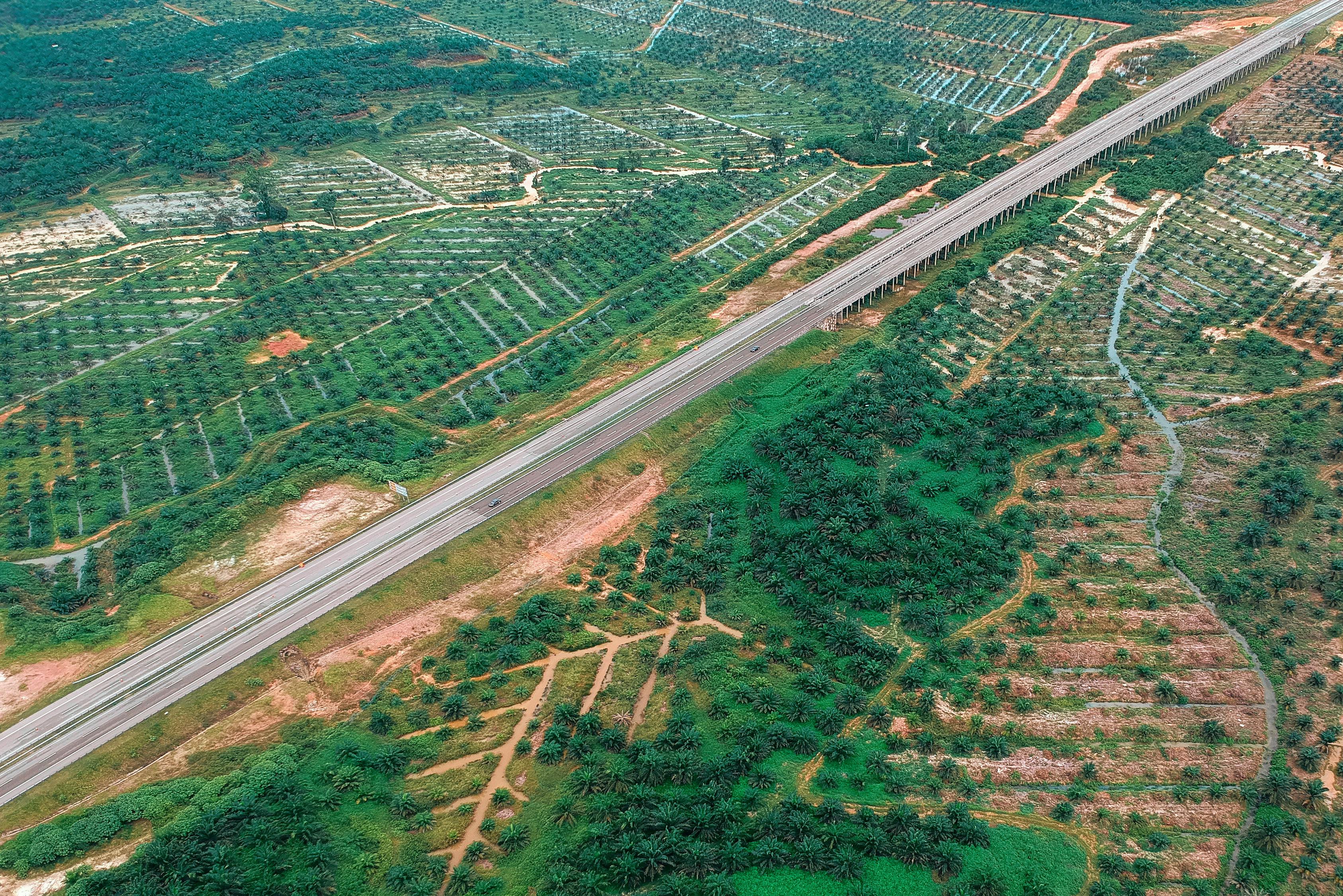 494949澳門今晚開什么454411，系統(tǒng)架構(gòu)規(guī)劃方案_活力演繹版96.98.1