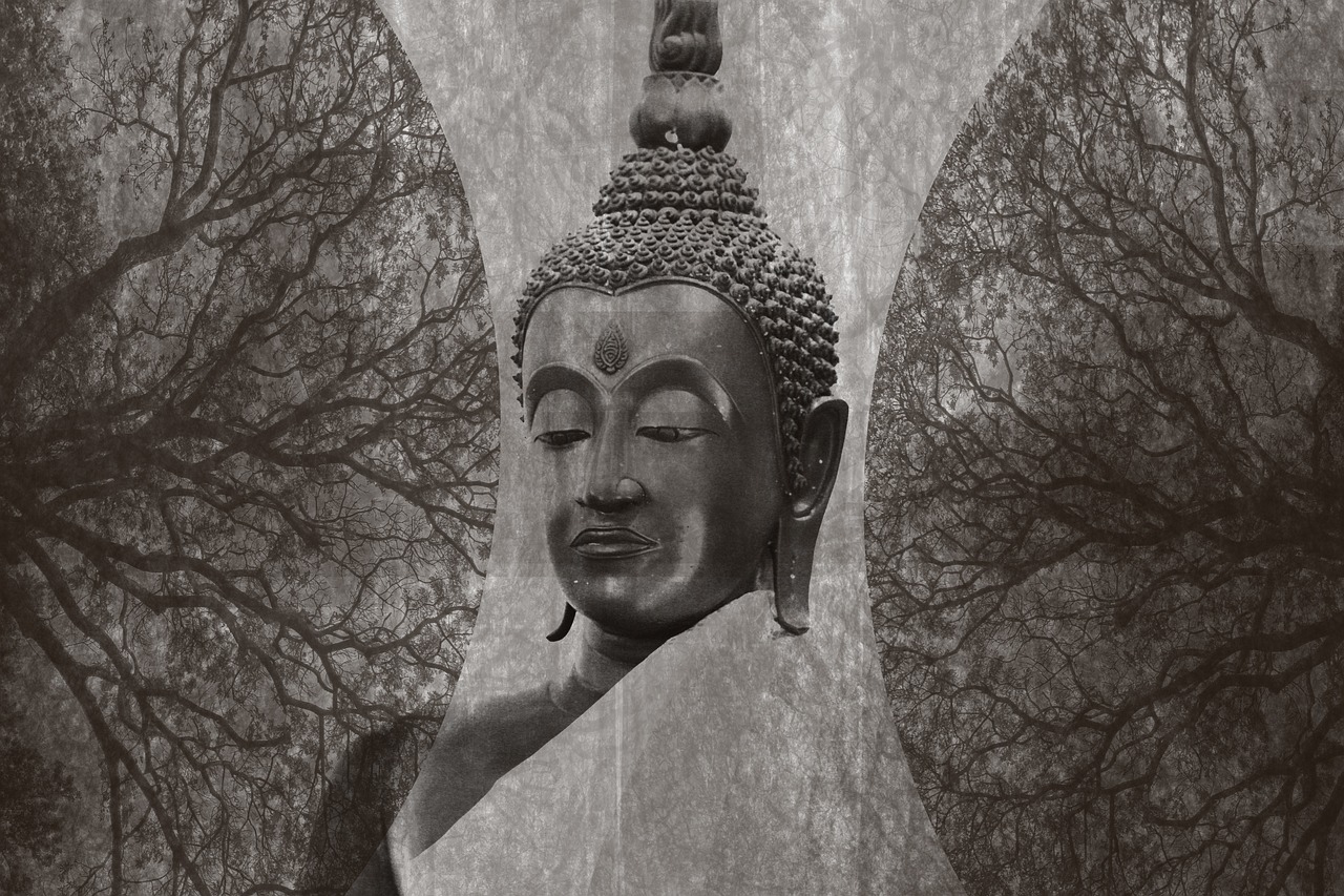 探尋神秘世界的奇異之旅——我以陰府鎮(zhèn)陽(yáng)間最新章節(jié)解析