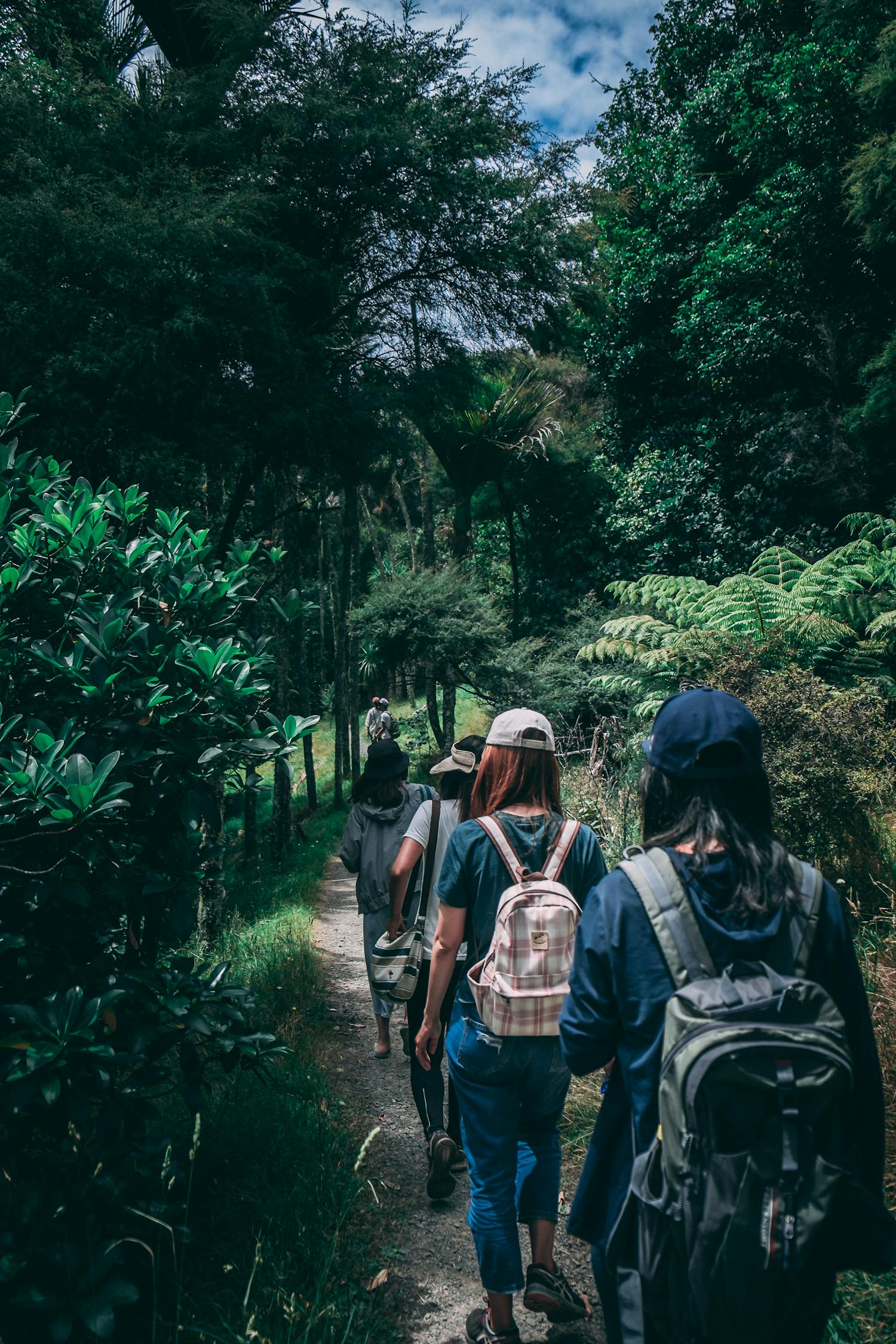 穿越迷霧的冒險之旅，俺是一個賊最新章節(jié)