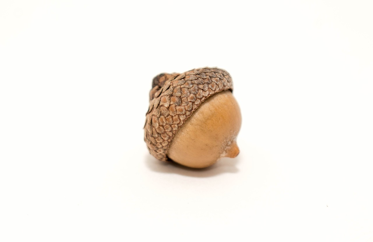 瑞和寶最新動態(tài)與創(chuàng)新突破進展