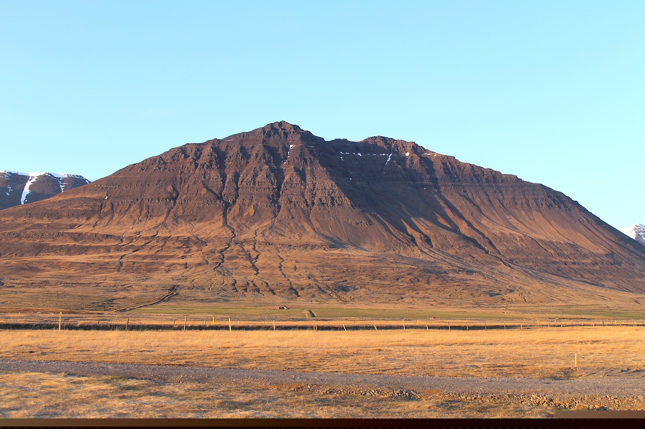 李七喜的最新動(dòng)態(tài)與成就概覽