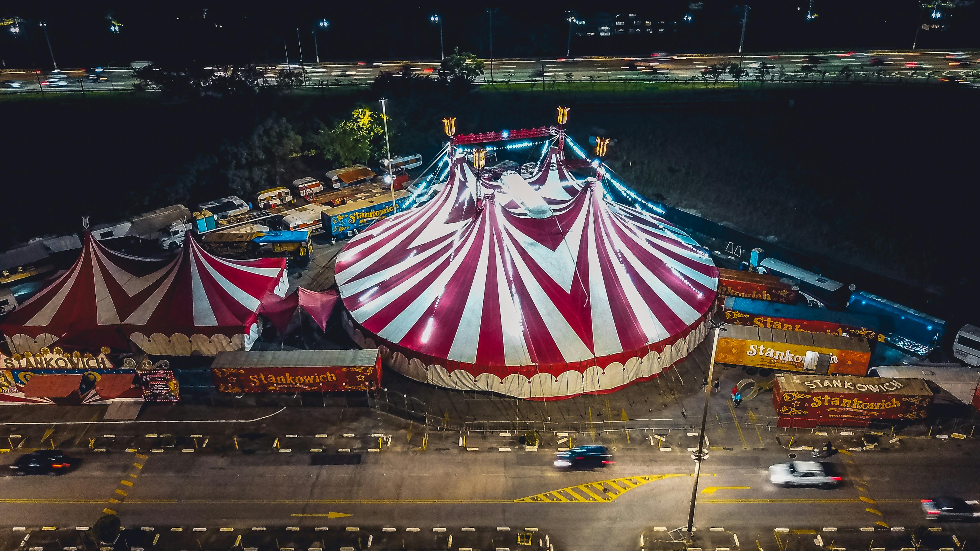 臨沂土豆價(jià)格最新行情分析，市場(chǎng)動(dòng)態(tài)與趨勢(shì)解讀