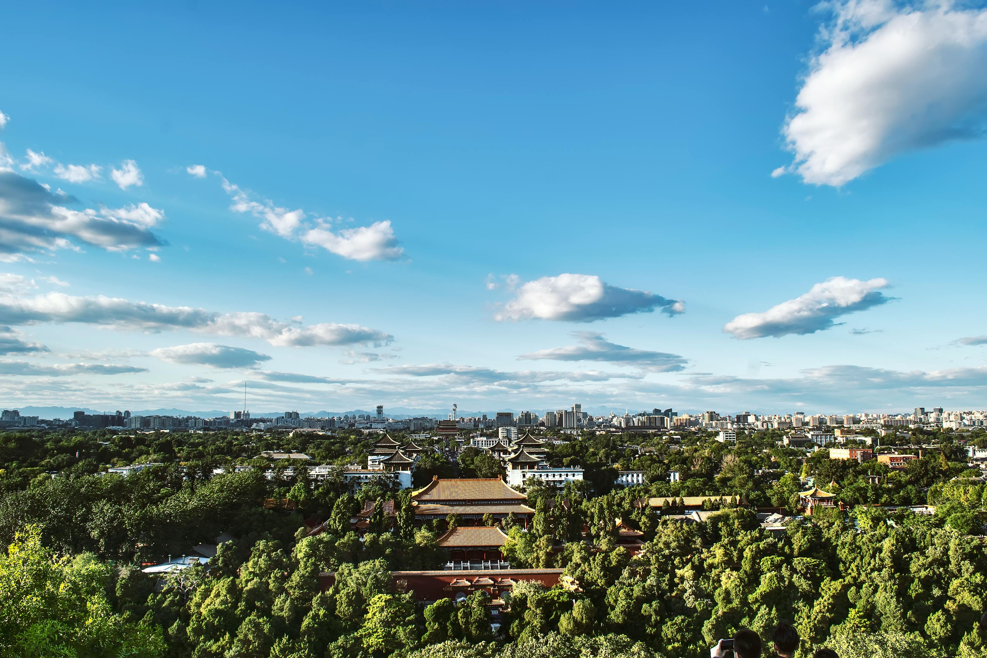 衡水新聞最新動(dòng)態(tài)，城市發(fā)展與民生改善同步前行